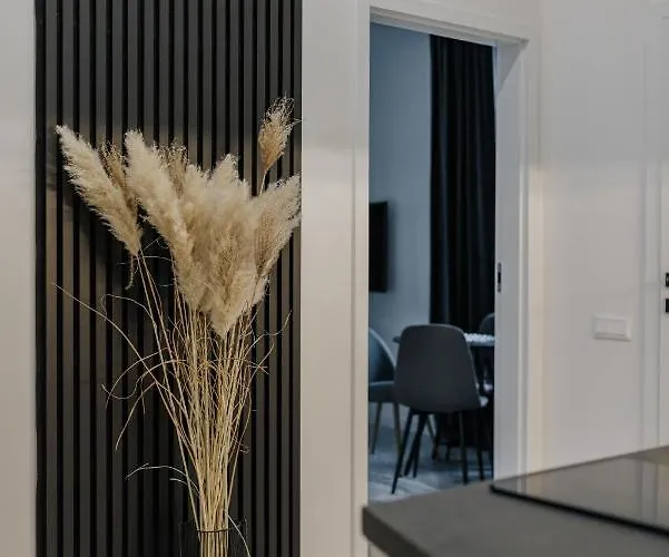 Stare Kasyno מלון